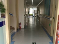 -喜多萌中农锦绣动物医院24H·猫科·牙科MRI·CT