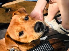 -VESH COFFEE(定西路店)