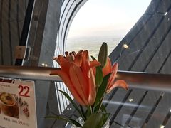 -奥塔空中餐厅