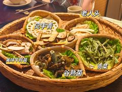-滇野云南野生菌餐厅(陕西南路店)