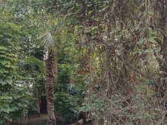 -石家庄市植物园