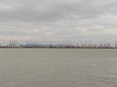 -大湾区中央湿地公园