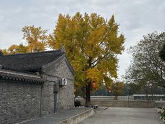 -凤城河风景区