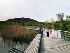 -西湖风景区-江洋畈生态公园