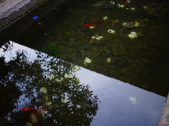 -半岛1919创意园区