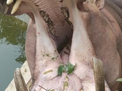 -深圳野生动物园