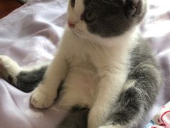 -惠康宠物医院(华能路店)