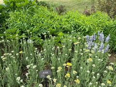 -国家植物园南园