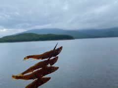-镜泊湖风景区