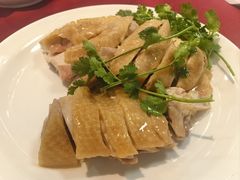 堪江大扇鸡-金苑海鲜酒家(新港中路店)