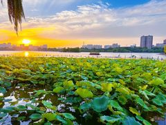 -济南大明湖景区