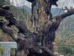 -龙湾潭国家森林公园