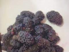 -红顶食府(滨湖九号店)