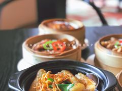 -彩丰楼中餐厅·早茶·点心·粤菜(海口华彩洲际酒店)