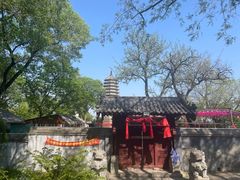 -高尔山公园