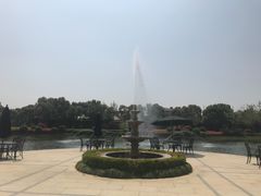 -上海玫瑰园度假酒店