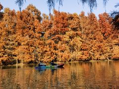 -上海海湾国家森林公园