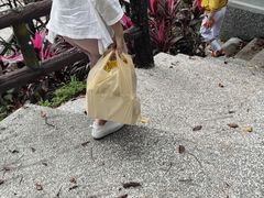 -花莲东大门国际观光夜市