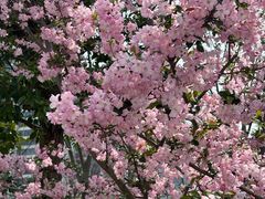 -其昌栈渡口(轮渡站)