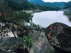 -九鲤湖风景区
