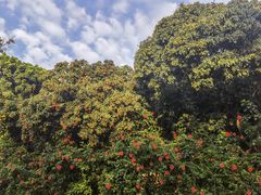 -荔景渔庄