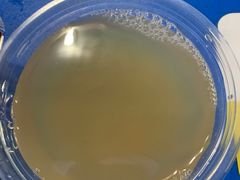 -黔御金丰秘制烤粉