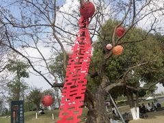 -府河摄影公园