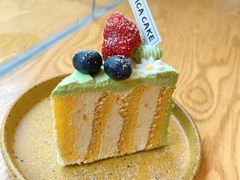 -Infica Coffee