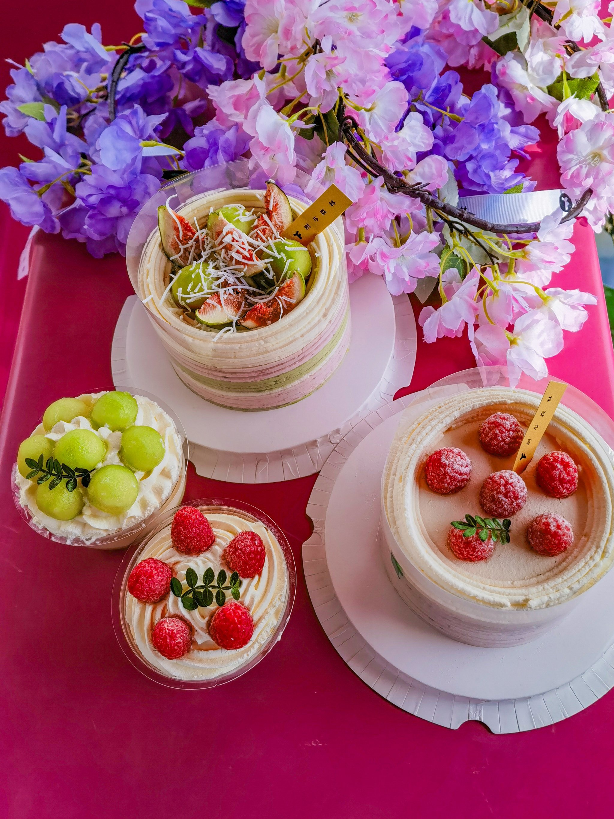 玉渊潭里划船🚣🏻‍♀️吃蛋糕🍰❤️