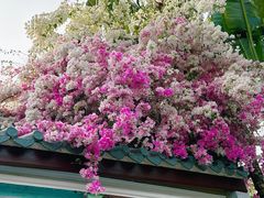 -深圳国际园林花卉博览园