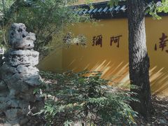 -灵谷景区