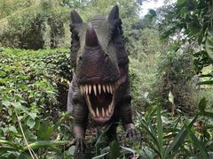 -海南热带野生动植物园