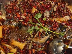 -味之绝热血美蛙鱼火锅(中坝店)
