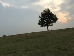 -钟山体育运动公园