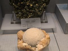 -湖南省地质博物馆