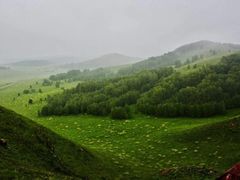 -乌兰布统草原