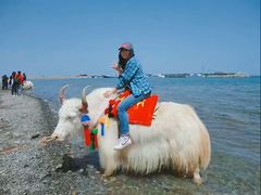 -青海湖国家重点风景名胜区售票处