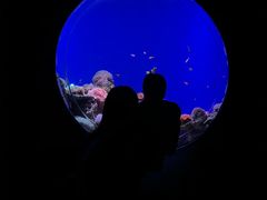 -江和美海洋公园