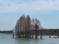 -尚湖风景区