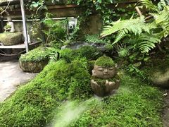 -植觉