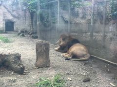 -成都动物园