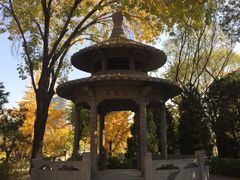 -玲珑塔公园