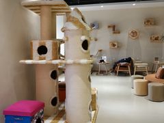 大堂-藏猫猫咖啡主题馆(中央大道店)