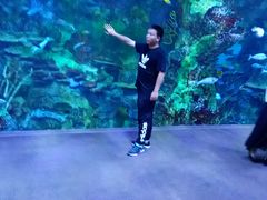 -珠海横琴长隆《卡卡虎奇遇记》