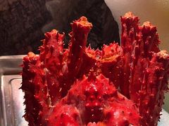 -雍容荟帝王蟹活龙虾展台自助(IFS黑金店)
