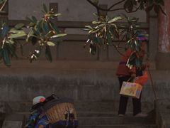 -盘龙寺