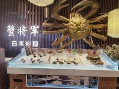-蟹将军·松叶蟹和牛日料放题自助(K11店)