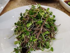 -大鸭梨烤鸭店(花园村店)