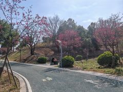 -长乐南山公园