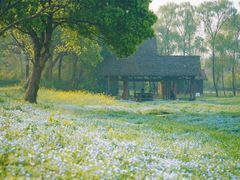 -西溪国家湿地公园